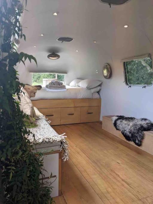 Airstream, Vintage American Caravan & Hottub Ашбъртън Екстериор снимка